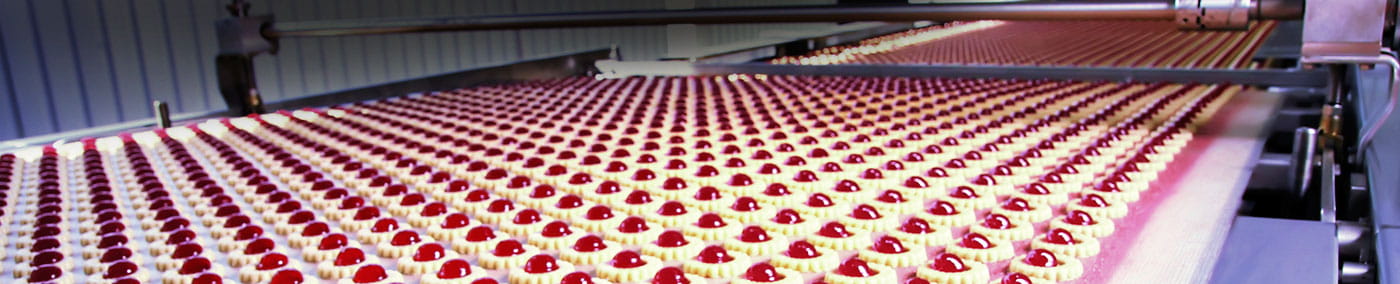 Terms and Conditions