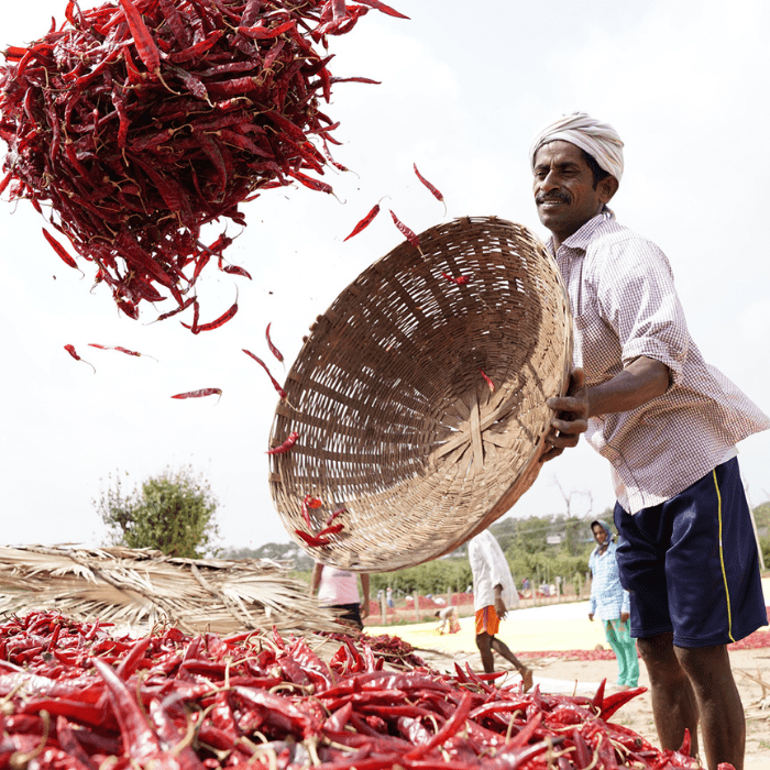 industry-alliance-updated