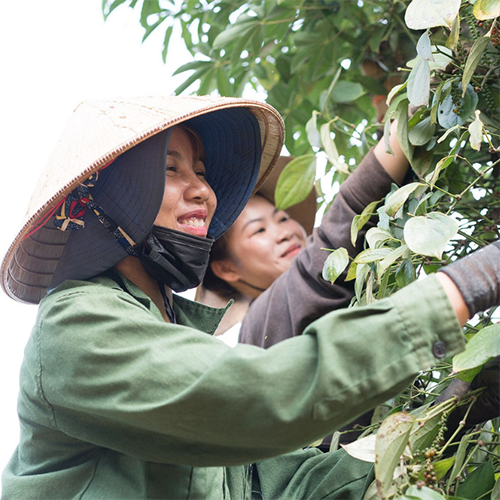 no-1-food-products-updated